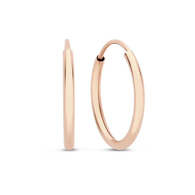 Noémie Sorel 14k Gold Earrings